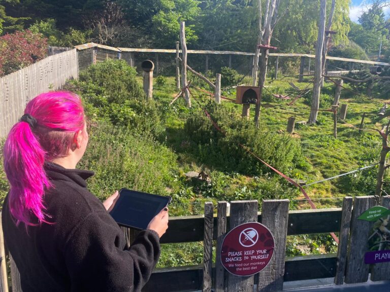 Keeper completing observations at RZSS Edinburgh Zoo, Living Links (photo credit RZSS)
